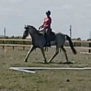 Meet your Posher, Jamie